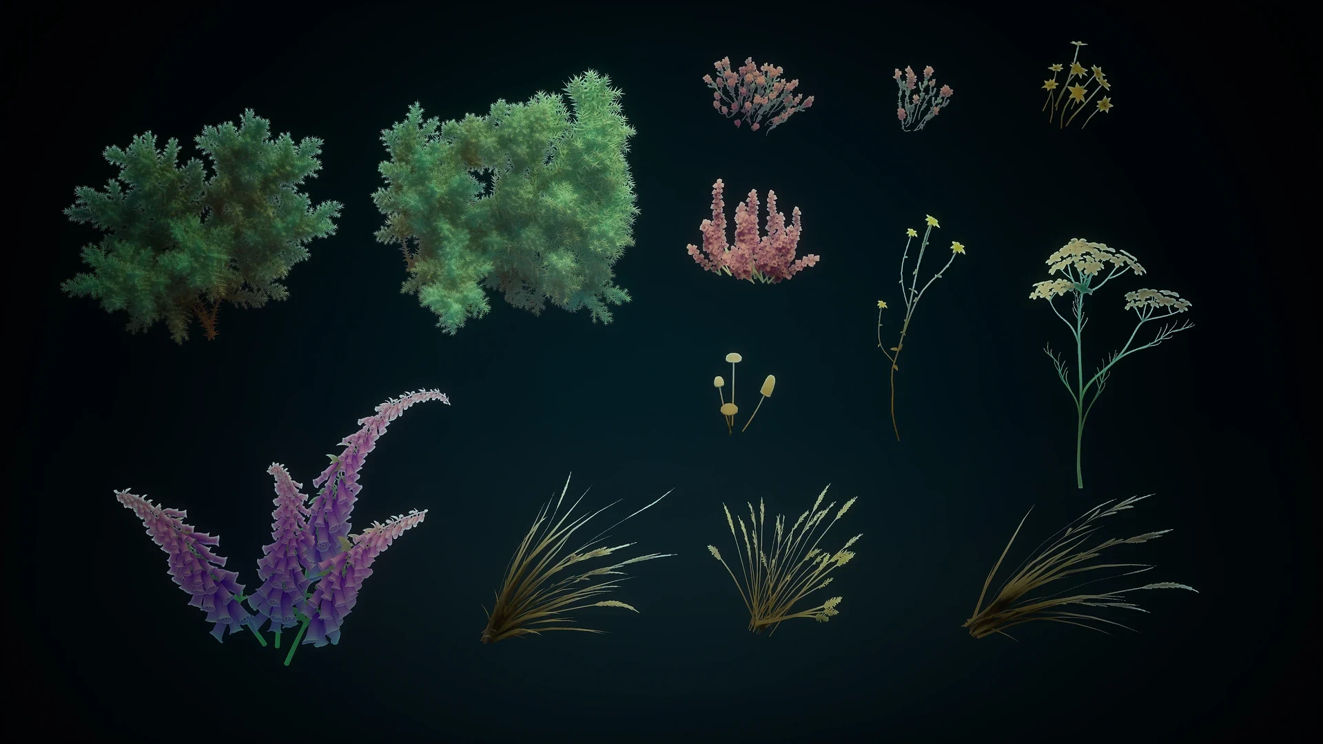 Personal project — Gallery 4