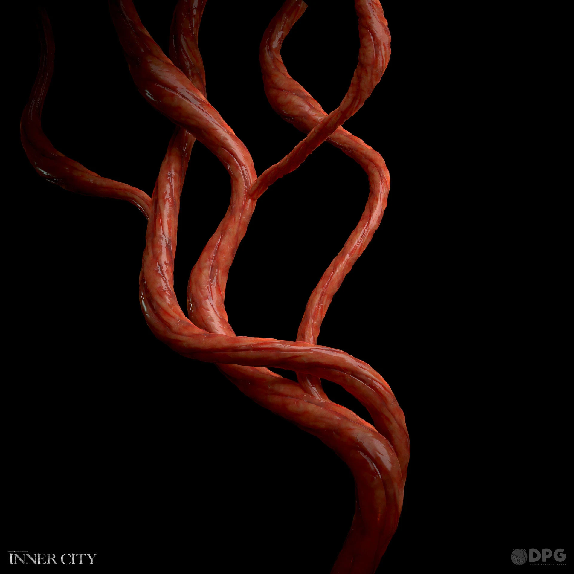 The Inner Place — Gallery 9